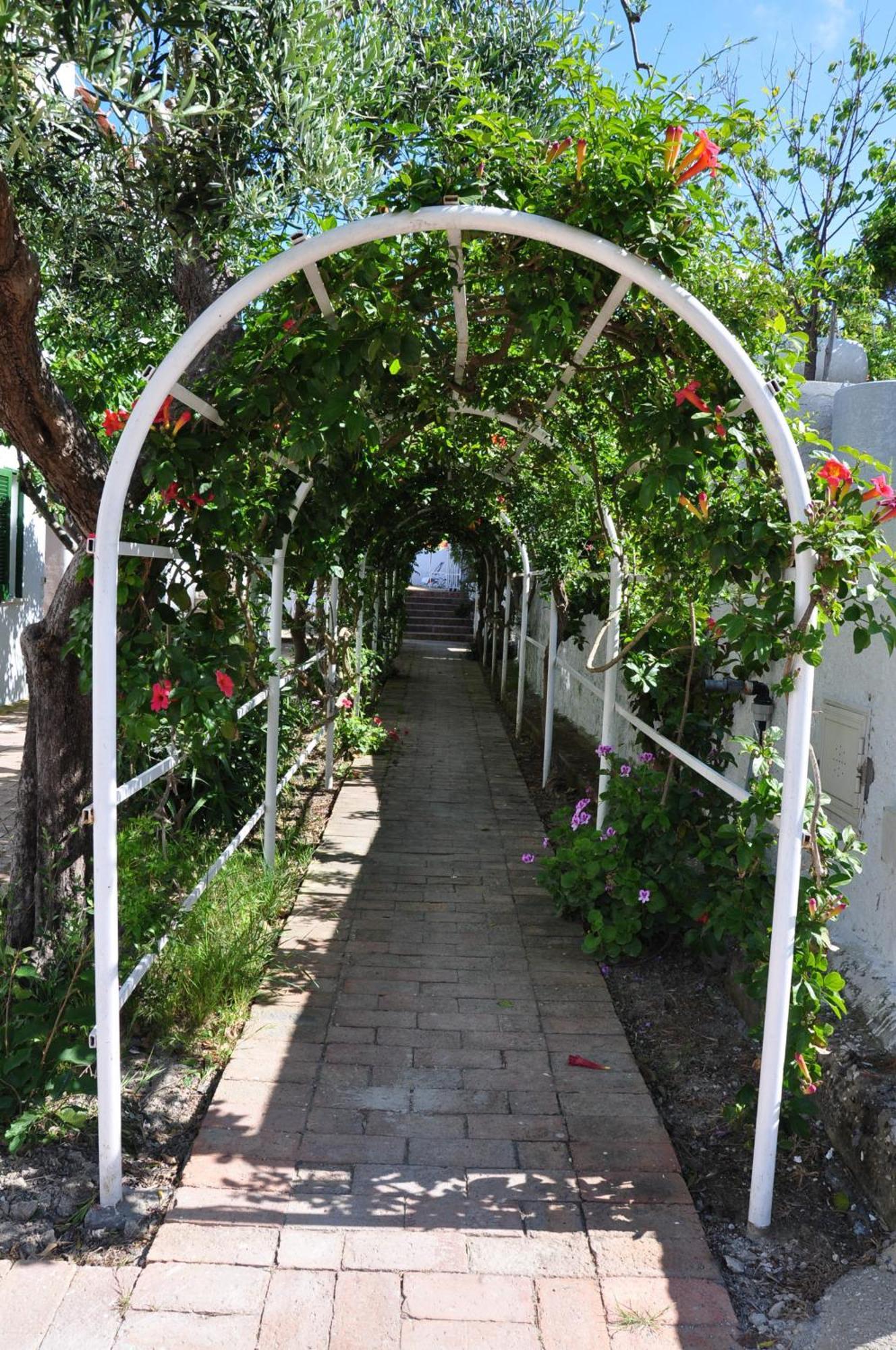 Hotel Residence Villa Teresa Casamicciola Terme Εξωτερικό φωτογραφία
